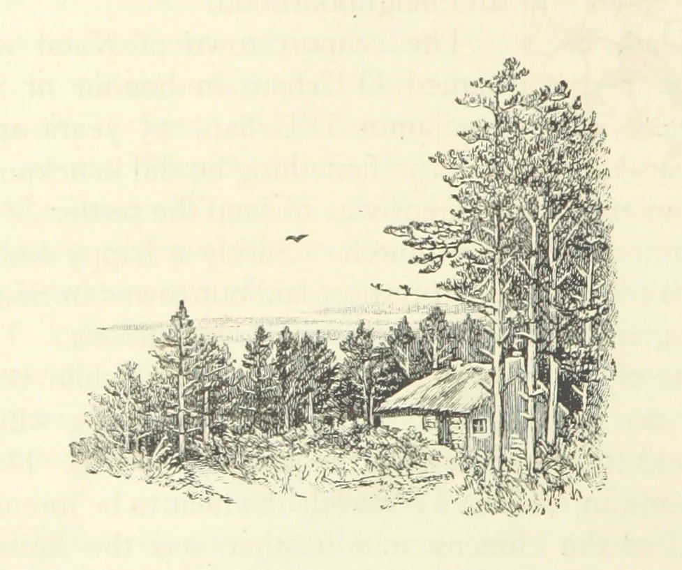 An illustration from Rambles in South Africa, etc, 1891, leaf 114
