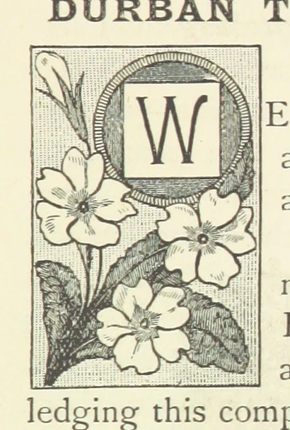 An illustration from Rambles in South Africa, etc, 1891, leaf 115