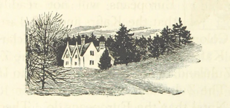 An illustration from Rambles in South Africa, etc, 1891, leaf 136