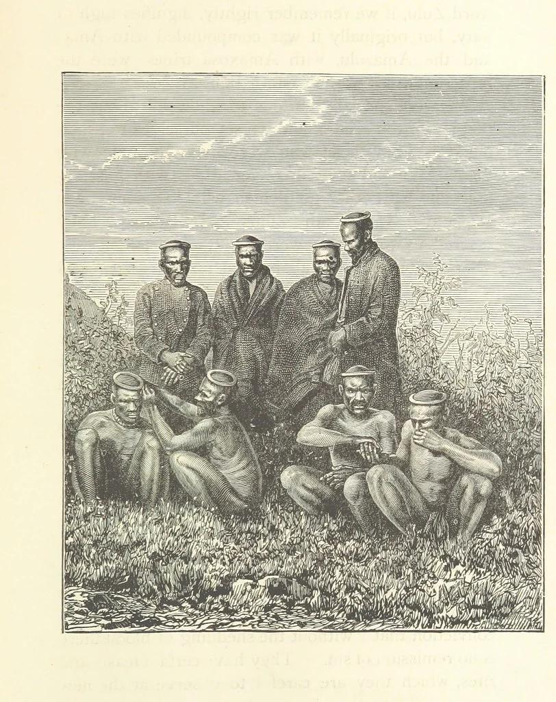 An illustration from Rambles in South Africa, etc, 1891, leaf 141