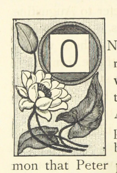 An illustration from Rambles in South Africa, etc, 1891, leaf 148