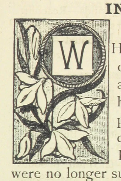 An illustration from Rambles in South Africa, etc, 1891, leaf 17
