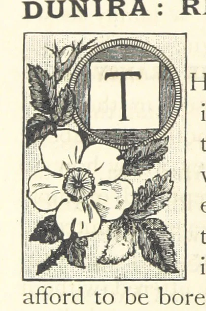 An illustration from Rambles in South Africa, etc, 1891, leaf 172