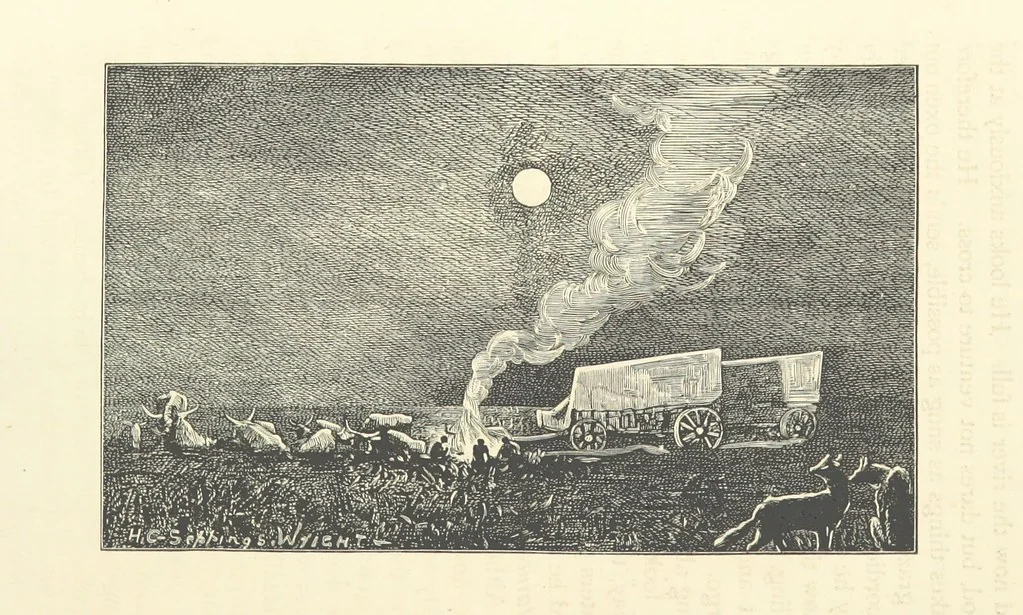 An illustration from Rambles in South Africa, etc, 1891, leaf 184
