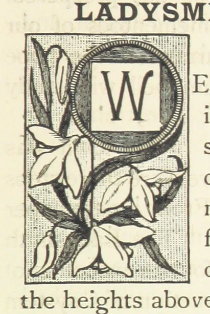 An illustration from Rambles in South Africa, etc, 1891, leaf 199