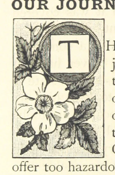 An illustration from Rambles in South Africa, etc, 1891, leaf 212