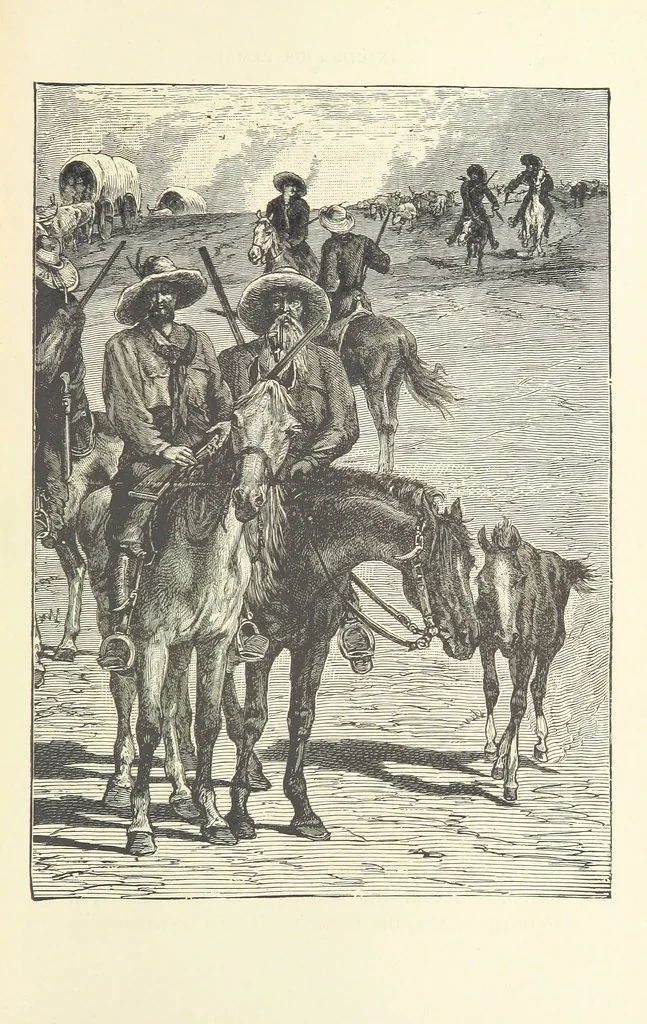 An illustration from Rambles in South Africa, etc, 1891, leaf 217