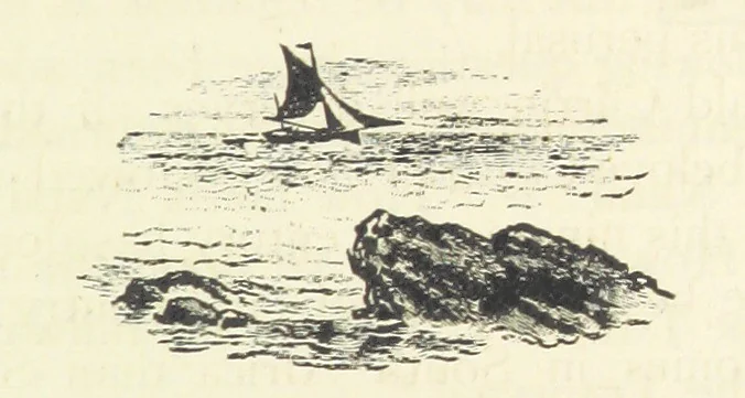 An illustration from Rambles in South Africa, etc, 1891, leaf 25