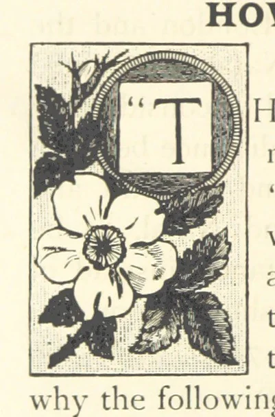 An illustration from Rambles in South Africa, etc, 1891, leaf 26