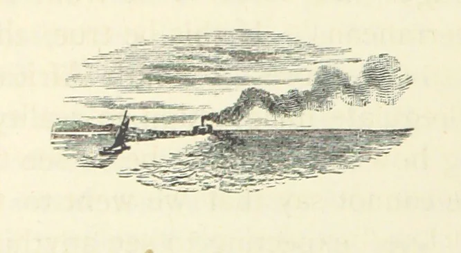 An illustration from Rambles in South Africa, etc, 1891, leaf 296