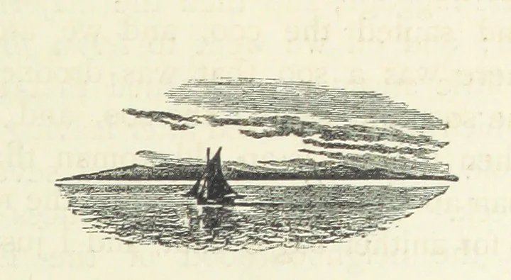 An illustration from Rambles in South Africa, etc, 1891, leaf 305