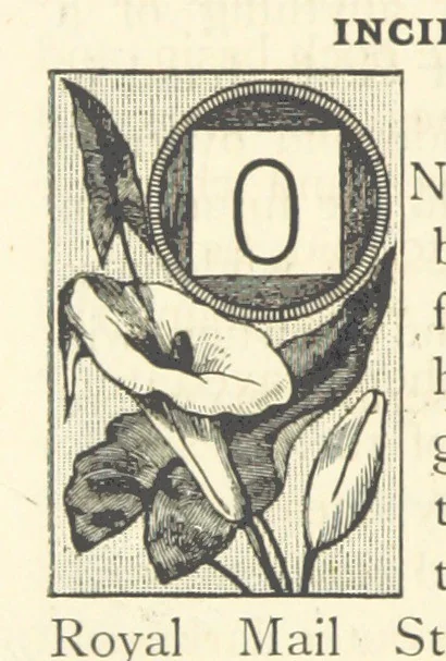 An illustration from Rambles in South Africa, etc, 1891, leaf 34