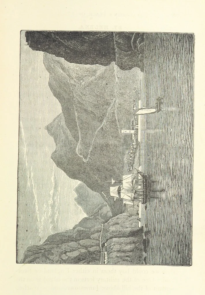 An illustration from Rambles in South Africa, etc, 1891, leaf 75