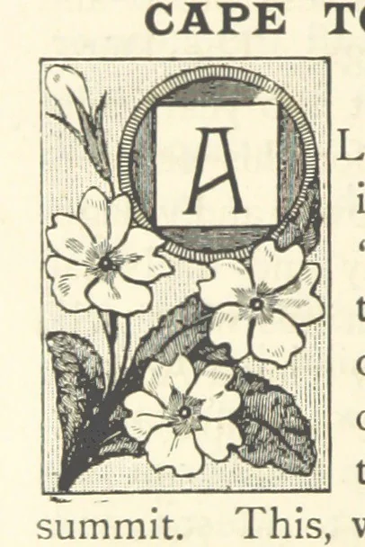 An illustration from Rambles in South Africa, etc, 1891, leaf 80