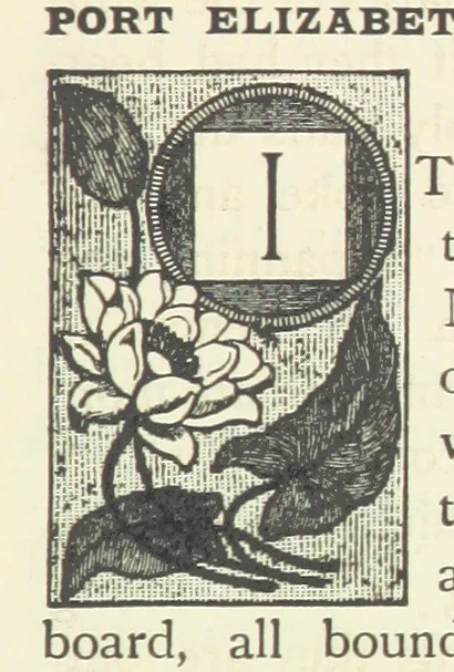 An illustration from Rambles in South Africa, etc, 1891, leaf 97