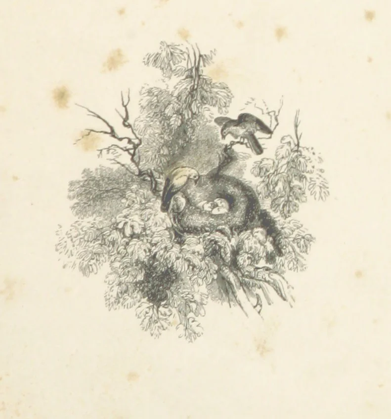 An illustration from The Poetical Works of Thomas Campbell. Illustrated by twenty vignettes from designs by Turner, and thirty-seven woodcuts from designs by Harvey. [With a portrait, 1843, leaf 17