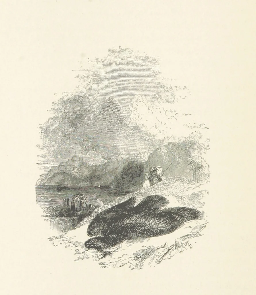 An illustration from The Poetical Works of Thomas Campbell. Illustrated by twenty vignettes from designs by Turner, and thirty-seven woodcuts from designs by Harvey. [With a portrait, 1843, leaf 318