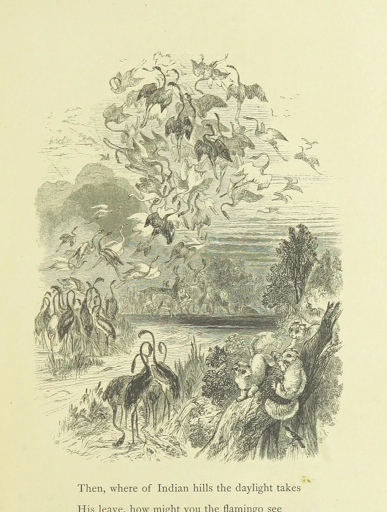An illustration from Gertrude of Wyoming ... With thirty-five illustrations engraved by the Brothers Dalziel, 1857, leaf 17