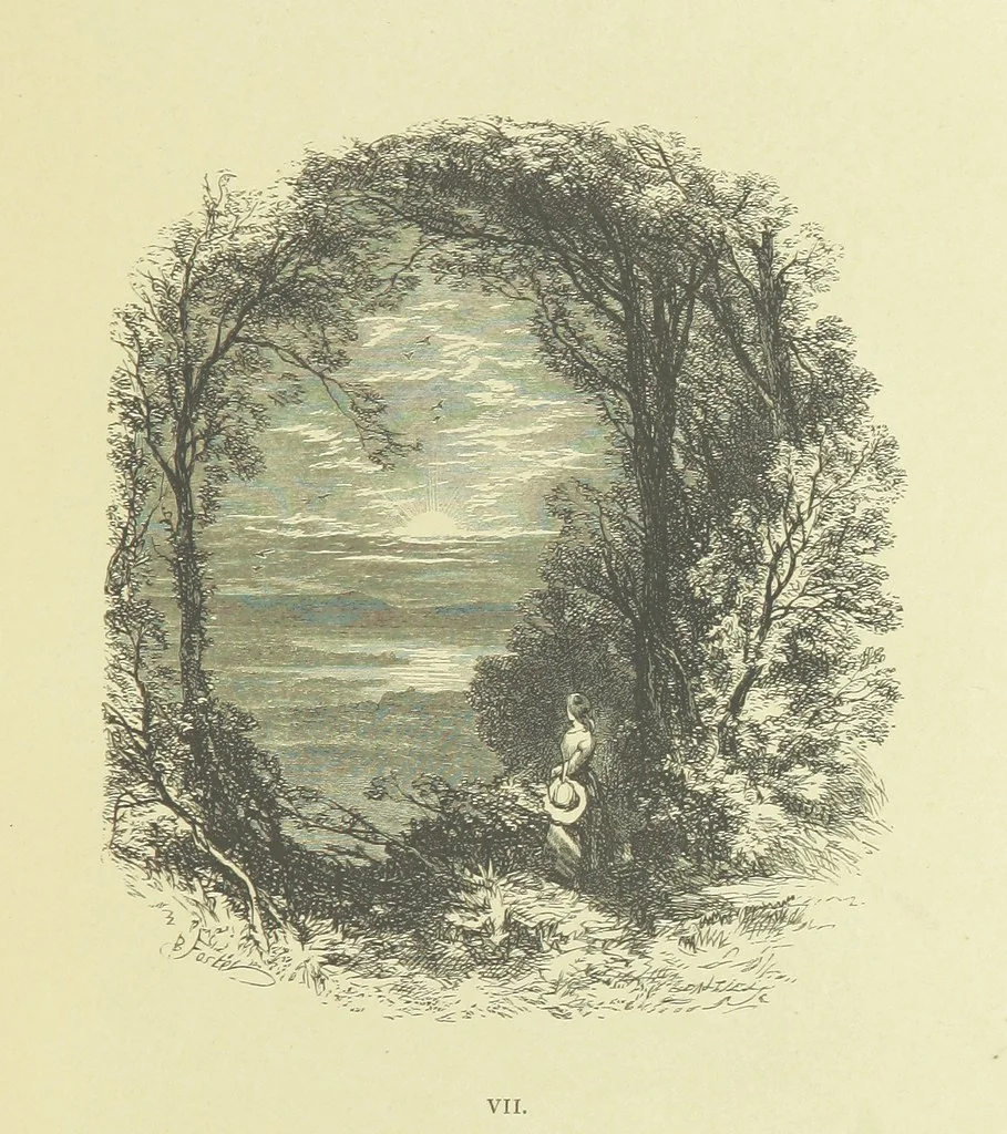 An illustration from Gertrude of Wyoming ... With thirty-five illustrations engraved by the Brothers Dalziel, 1857, leaf 43