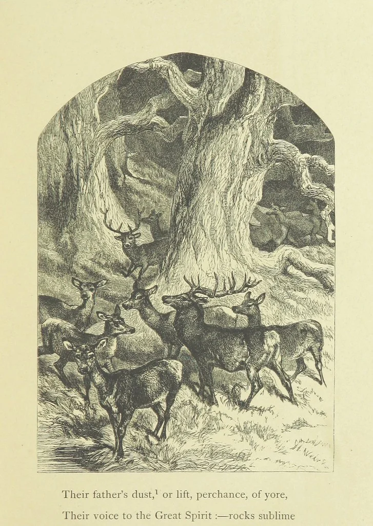 An illustration from Gertrude of Wyoming ... With thirty-five illustrations engraved by the Brothers Dalziel, 1857, leaf 45