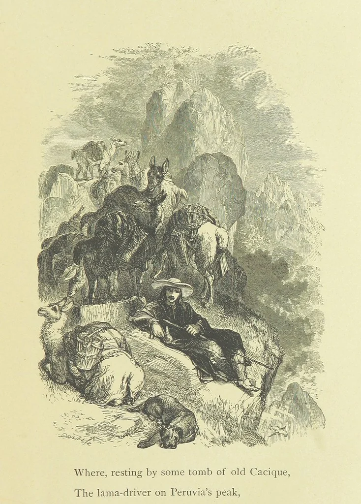 An illustration from Gertrude of Wyoming ... With thirty-five illustrations engraved by the Brothers Dalziel, 1857, leaf 51