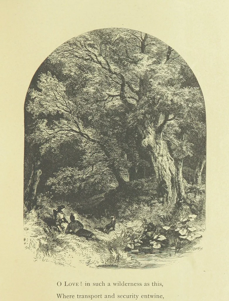 An illustration from Gertrude of Wyoming ... With thirty-five illustrations engraved by the Brothers Dalziel, 1857, leaf 61