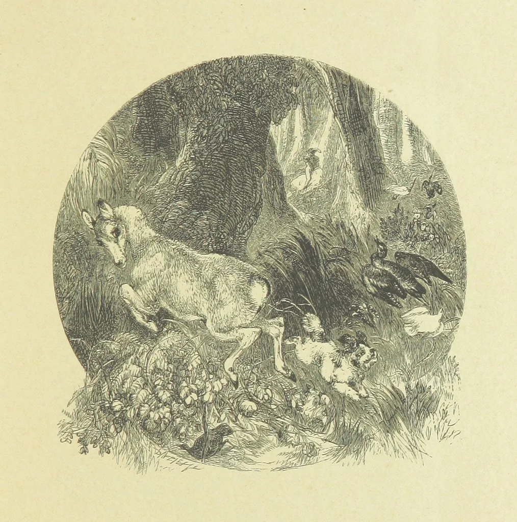 An illustration from Gertrude of Wyoming ... With thirty-five illustrations engraved by the Brothers Dalziel, 1857, leaf 63