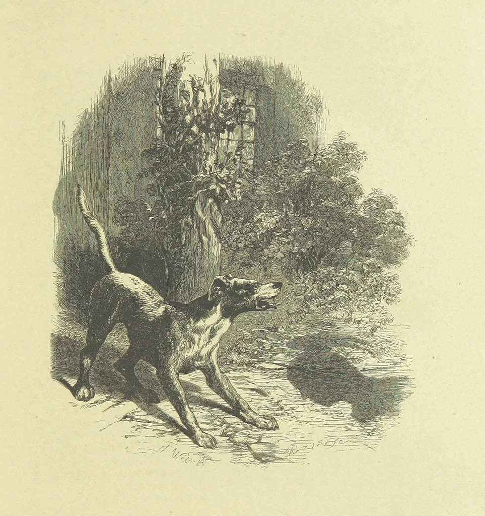 An illustration from Gertrude of Wyoming ... With thirty-five illustrations engraved by the Brothers Dalziel, 1857, leaf 67