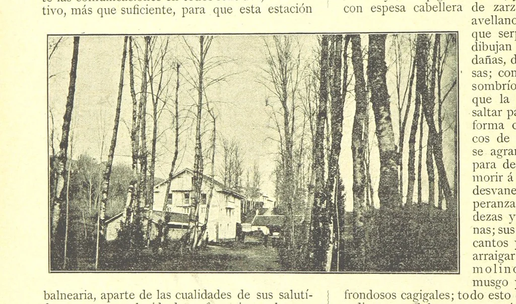 An illustration from De Cantabria. Letras.-Artes.-Historia.-Su vida actual. [With illustrations, 1890, leaf 168