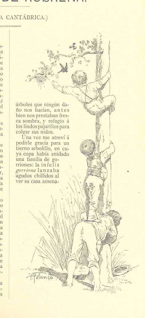 An illustration from De Cantabria. Letras.-Artes.-Historia.-Su vida actual. [With illustrations, 1890, leaf 185