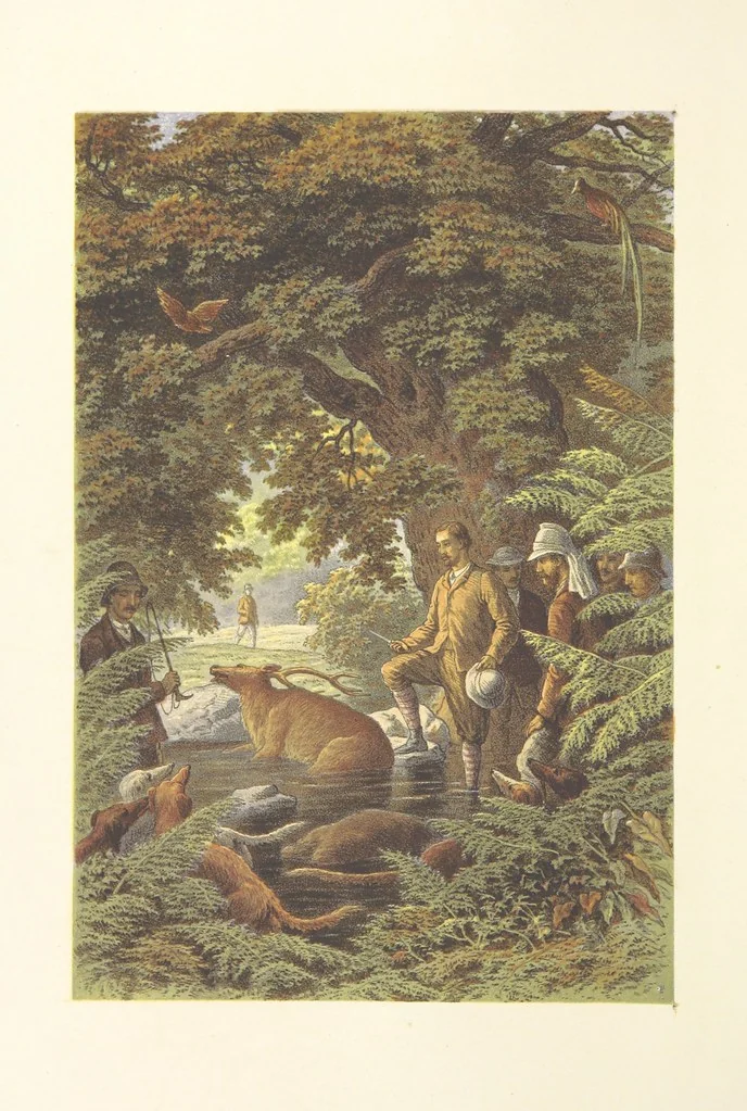 An illustration from The Duke of Edinburgh in Ceylon. A book of elephant and elk sport ... Illustrated with chromo-lithographs, etc, 1871, leaf 106