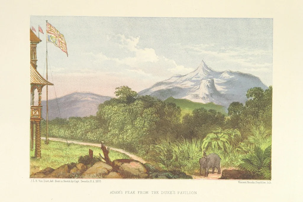 An illustration from The Duke of Edinburgh in Ceylon. A book of elephant and elk sport ... Illustrated with chromo-lithographs, etc, 1871, leaf 39