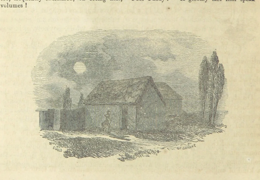 An illustration from Traits and Stories of the Irish Peasantry ... Fourth edition, 1864, leaf 392