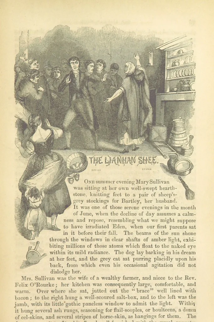 An illustration from Traits and Stories of the Irish Peasantry ... Fourth edition, 1864, leaf 89