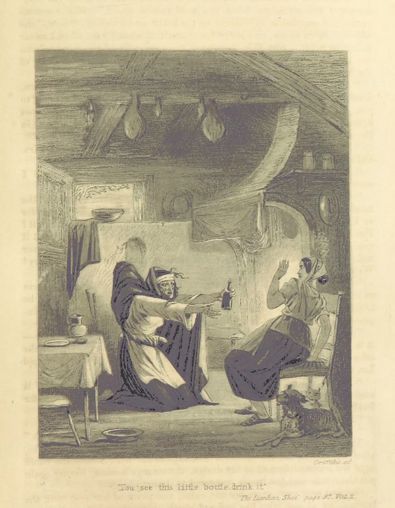 An illustration from Traits and Stories of the Irish Peasantry ... Fourth edition, 1864, leaf 97