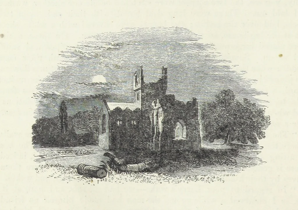 An illustration from Traits and Stories of the Irish Peasantry ... Fourth edition, 1876, leaf 164