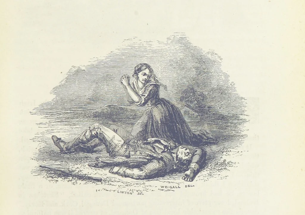 An illustration from Traits and Stories of the Irish Peasantry ... Fourth edition, 1876, leaf 297