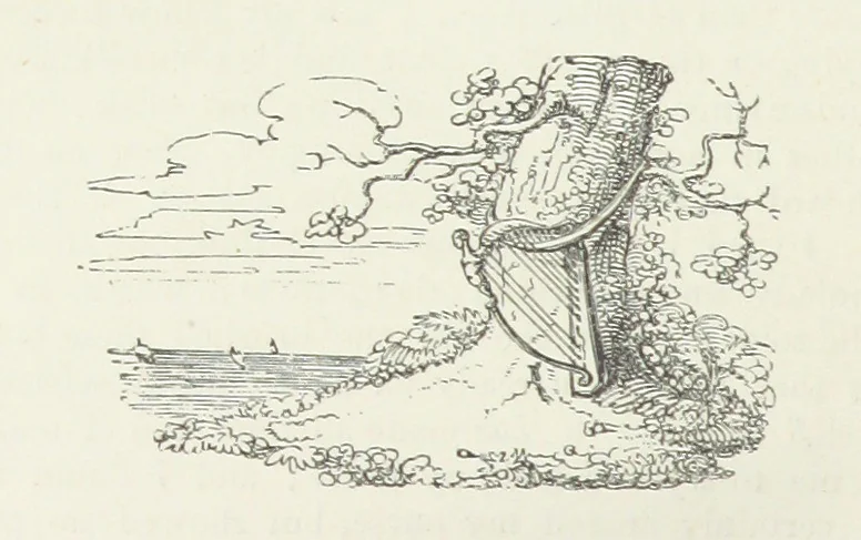 An illustration from Traits and Stories of the Irish Peasantry ... Fourth edition, 1876, leaf 336