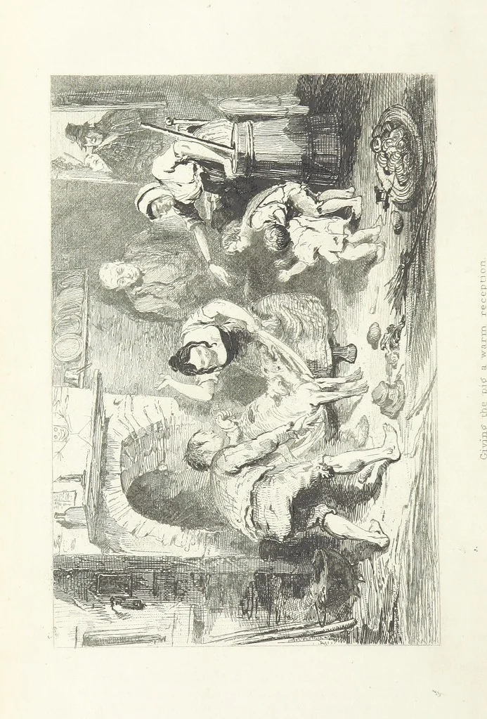 An illustration from Traits and Stories of the Irish Peasantry ... Fourth edition, 1876, leaf 490