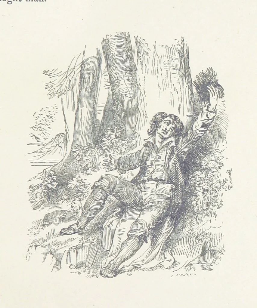 An illustration from Traits and Stories of the Irish Peasantry ... Fourth edition, 1876, leaf 509