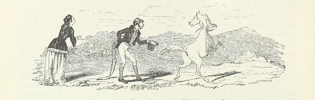 An illustration from Traits and Stories of the Irish Peasantry ... Fourth edition, 1876, leaf 72