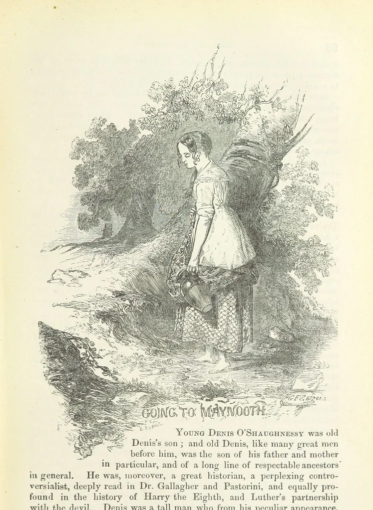 An illustration from Traits and Stories of the Irish Peasantry ... Fourth edition, 1876, leaf 115