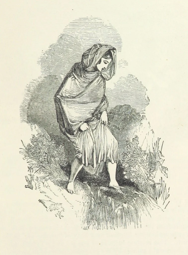 An illustration from Traits and Stories of the Irish Peasantry ... Fourth edition, 1876, leaf 209
