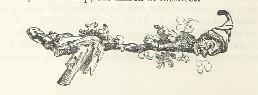 An illustration from Traits and Stories of the Irish Peasantry ... Fourth edition, 1876, leaf 24