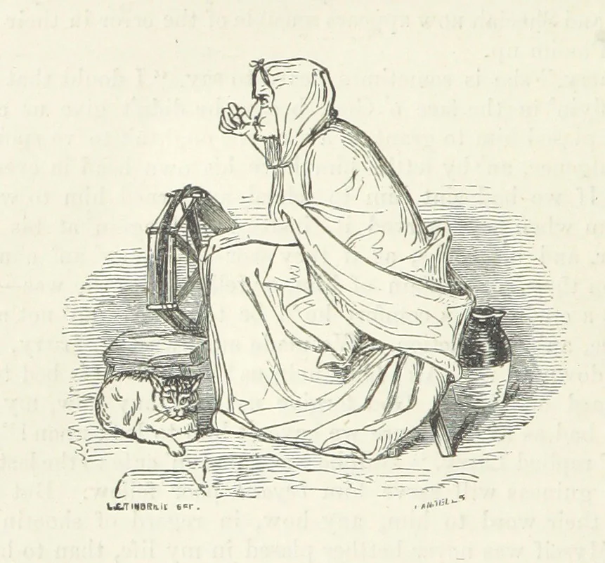 An illustration from Traits and Stories of the Irish Peasantry ... Fourth edition, 1876, leaf 282