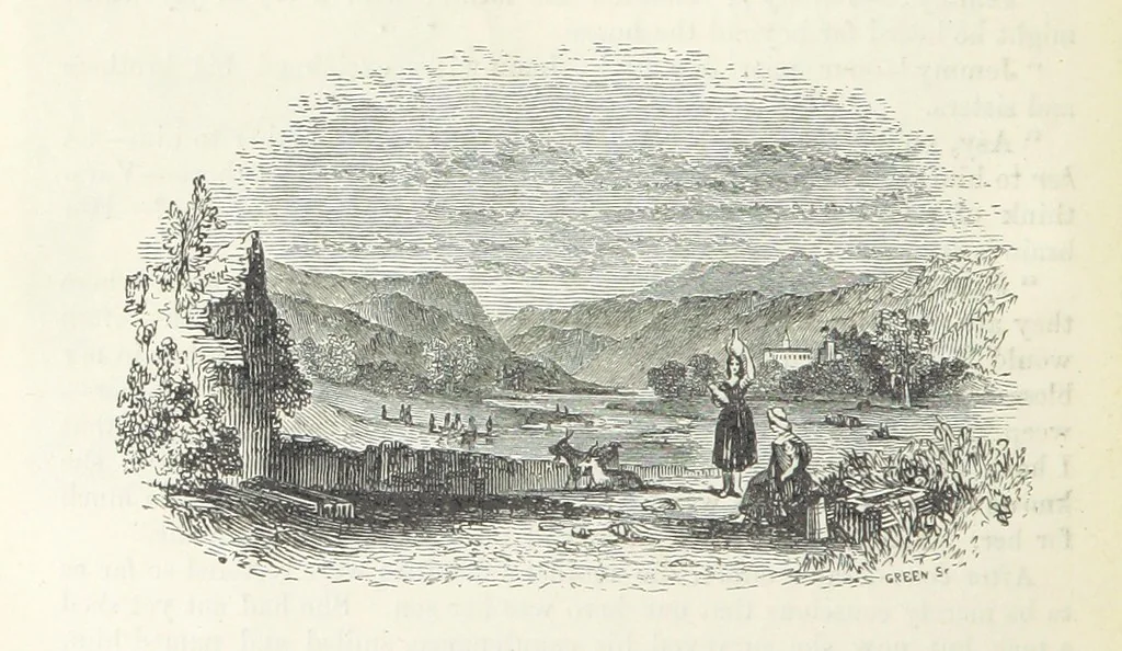 An illustration from Traits and Stories of the Irish Peasantry ... Fourth edition, 1876, leaf 378
