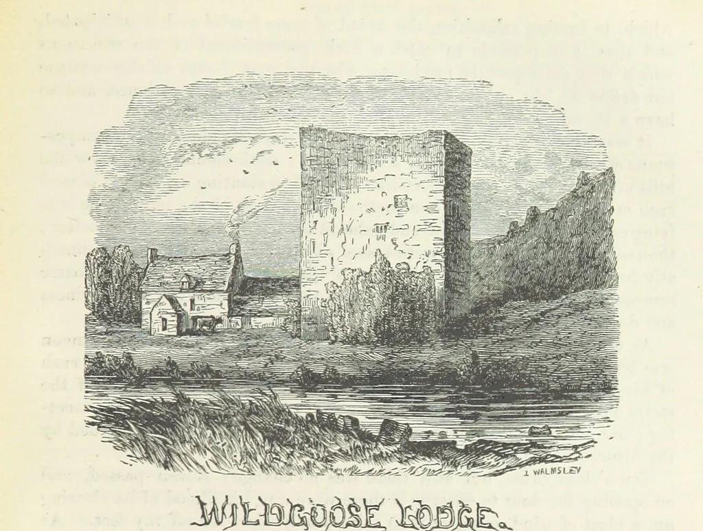 An illustration from Traits and Stories of the Irish Peasantry ... Fourth edition, 1876, leaf 379