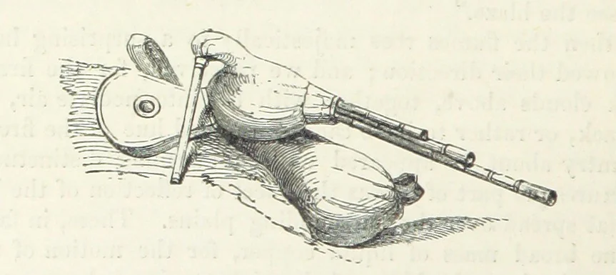An illustration from Traits and Stories of the Irish Peasantry ... Fourth edition, 1876, leaf 394