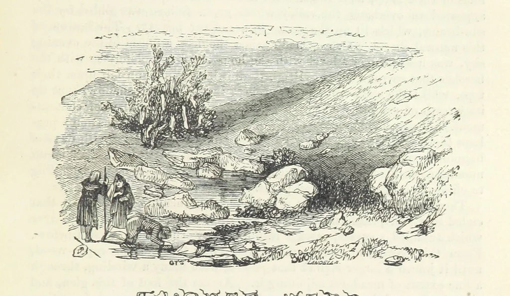 An illustration from Traits and Stories of the Irish Peasantry ... Fourth edition, 1876, leaf 395
