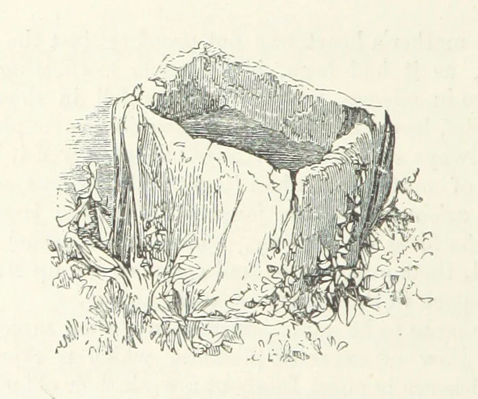 An illustration from Traits and Stories of the Irish Peasantry ... Fourth edition, 1876, leaf 450